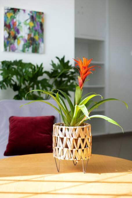 Best Spot Apartment In Atenas Exterior foto